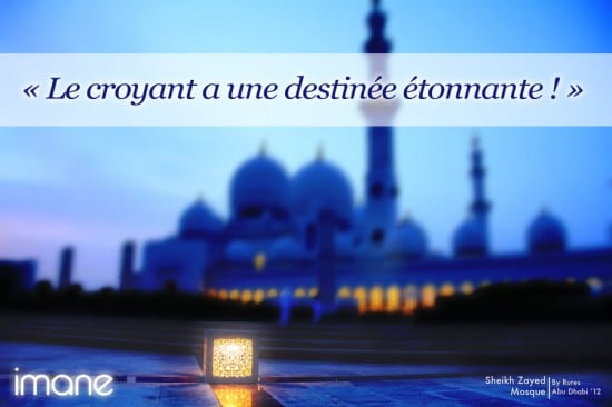 [Hadith’s day] La patience et le croyant